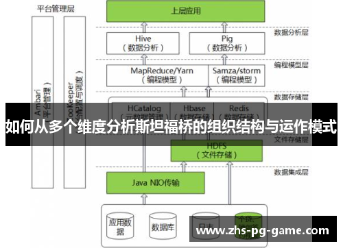 如何从多个维度分析斯坦福桥的组织结构与运作模式